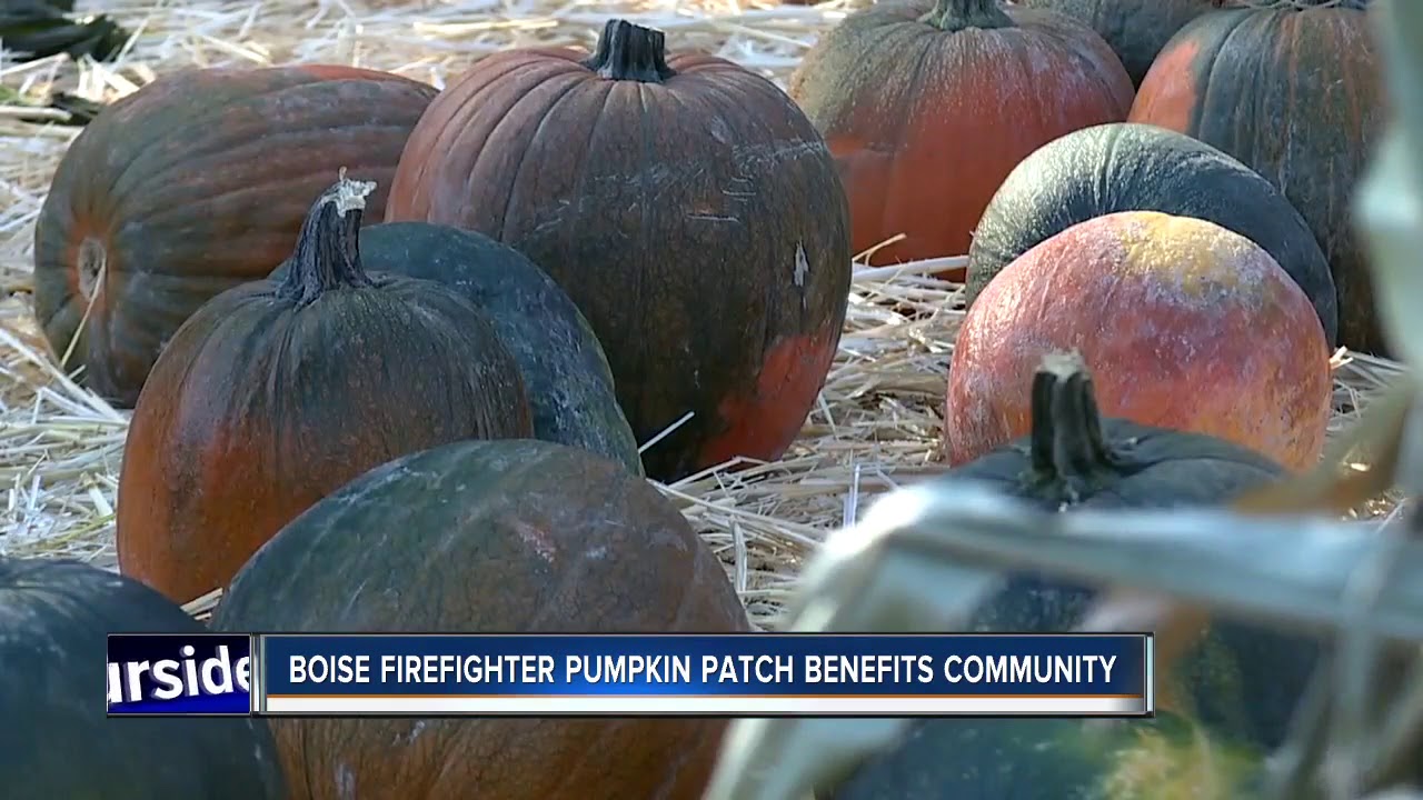Boise Fire pumpkin patch raises money for community funds YouTube