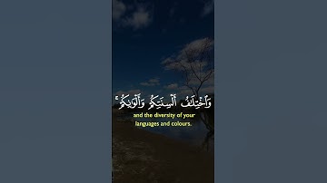 تلاوة هادئه تريح القلب ❤ قران كريم ❤ قرآن ❤قران ❤ تلاوة خاشعة ❤أرح سمعك ❤ short