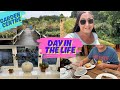 Slow Living Vlog | Garden Centre, New Plant, Cottage Pie &amp; Cozy Walks