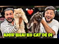 BHOT SARI COLOURS FULL CATS 🐈⬛ AGAI ❤️ | USAMAPETS | MISHKAT KHAN
