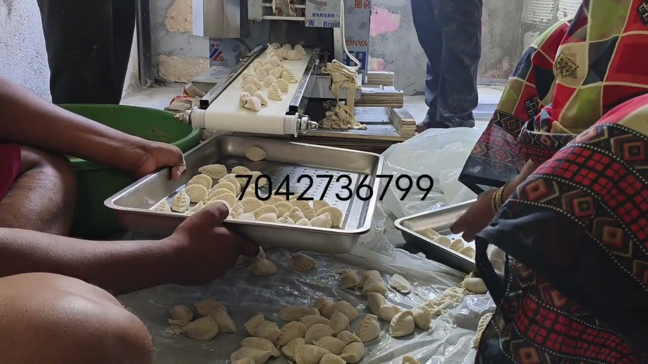 BLS 150 handmade dumpling machine