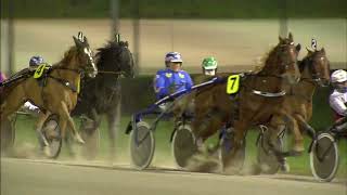 Vidéo de la course PMU PRIX UNIVERS DRY