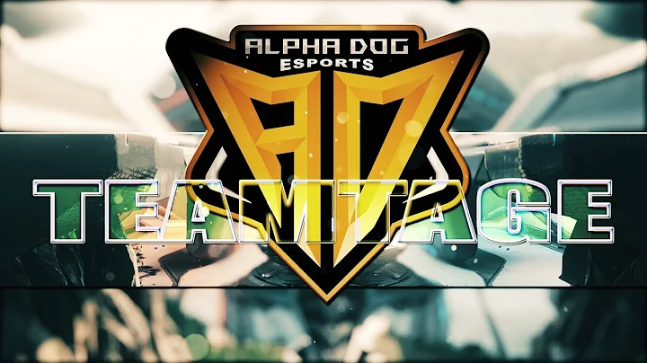 Alpha Dog Esports (HCS Team) - Halo 5 Teamtage - INCREDIBLE! (Edited by Xander)