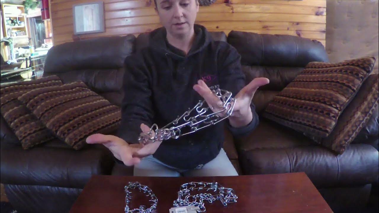 Prong collar 1 of 2—An Intro To The Prong Collar YouTube