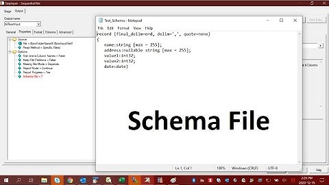 42 - Datastage tutorial | How to use Schema files in a Sequential file stage