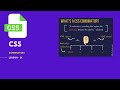CSS Selectors Explained: Master Classes, Attributes & Combinators for Beginners!
