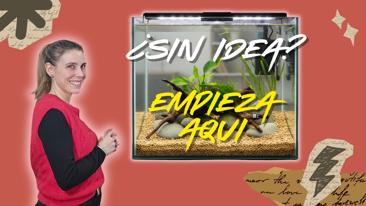 Acuario desde CERO: Lo que NADIE te dice antes de empezar 🐠