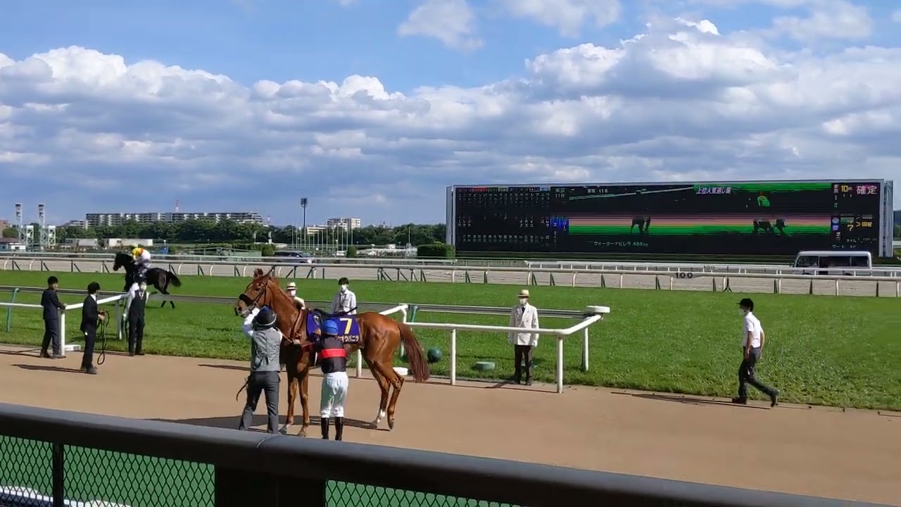 2022オークス YouTube