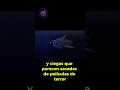 ¿Qué hay en el fondo del océano?  El terrorífico misterio de las Marianas. #curiosidades #misterio