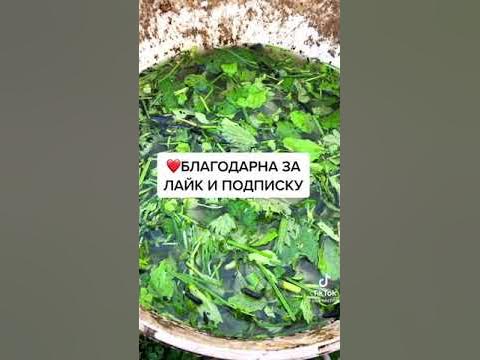 удобрение - YouTube