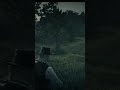 Was that a deer? Red Dead Redemption 2 Online