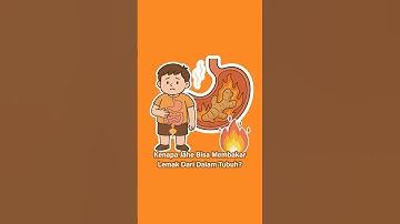 Jahe bisa bantu pembakaran lemak #jahe #lemak #lemakperut #lemakberlebih