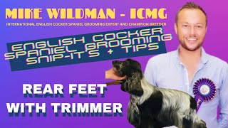 ENGLISH COCKER SPANIEL SNIPIT'S + tips with MIKE WILDMAN  Rear Feet With Trimmer
