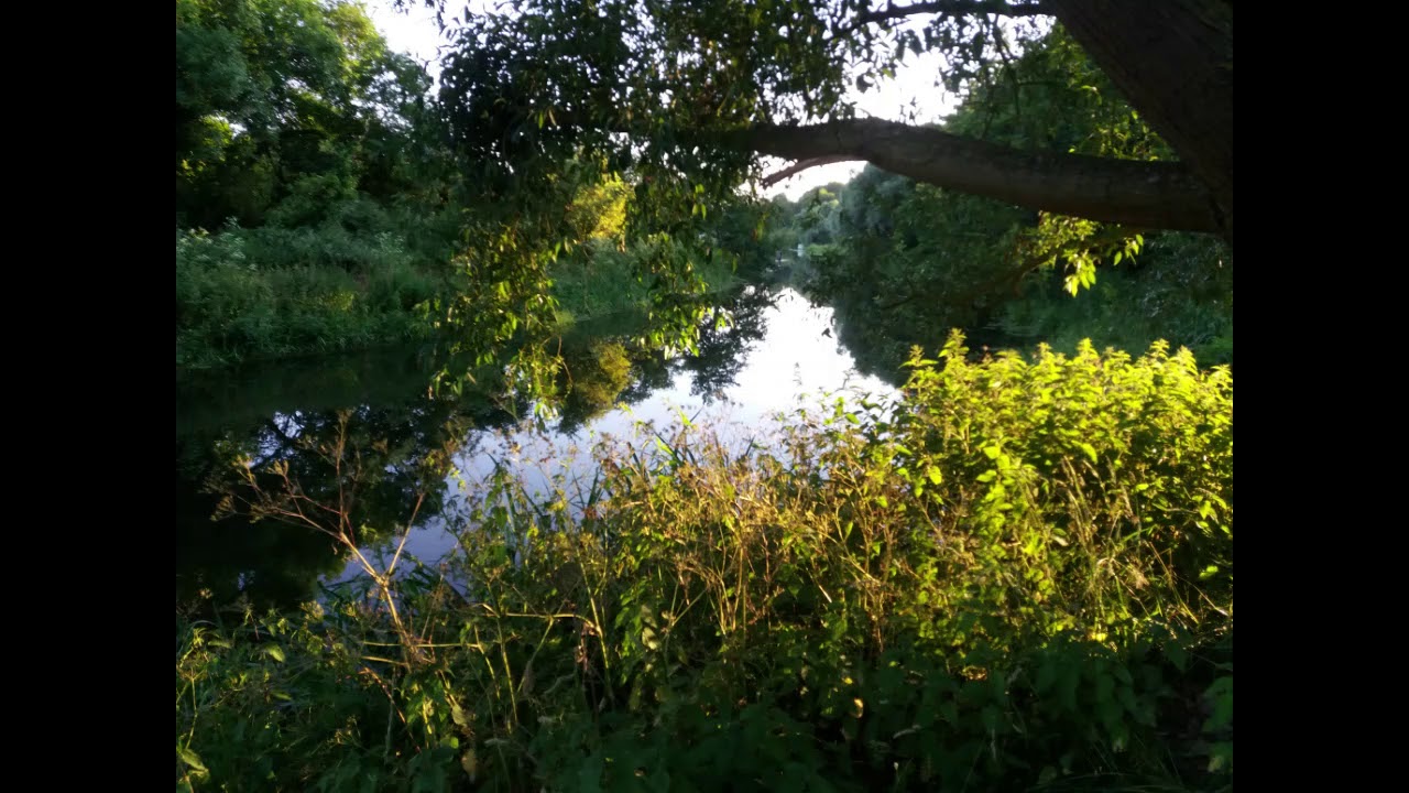 BRIAN BORU'S MARCH by FRUMENTY