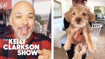 Jo Koy