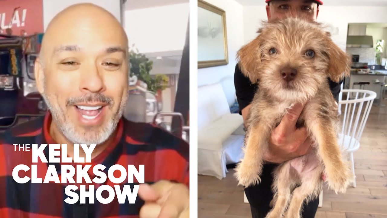 Jo Koy's Puppy & Kelly Have Matching Hazel Eyes—Aww!