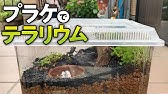 カエルの餌やり装置を100均の材料で作ってみた Youtube