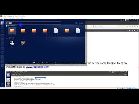 Task 4 Launching MITM Attack