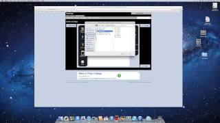 BeezMap – How to Make Free Form Collages – Video Tutorial screenshot 5