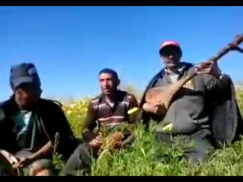 البهالة ولد العلوة