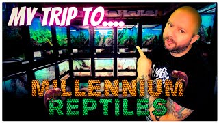 This is why MILLENNIUM REPTILES is a must-visit destination! by robbies talking ts 447 views 1 year ago 4 minutes, 20 seconds