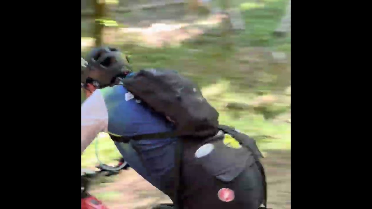 Diga di Ridracoli e foresta Lama 