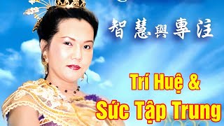 Trí Huệ và Sức Tập Trung, Wisdom and Concentration. Tim Qo Tu 7.5.2000 Tokyo. VCD 693
