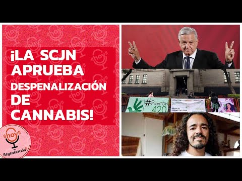 LA SCJN APRUEBA DESPENALIZACIÓN DE LA PLANTA VERDE Y AMLO LE RECUERDA A LOS MEDIOS QUE NO DA DINERO