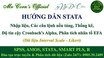 STATA | Nhập liệu, Lệnh nền tảng, Thống kê, Cronbach’s Alpha, Nhân tố EFA (Dữ liệu Likert) 15112025