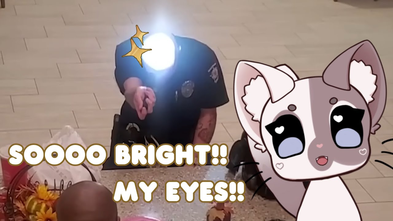 He's soo bald!!  | Mittens Reacts to daily dose of internet