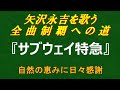 【矢沢永吉を歌う 全曲制覇への道 #010】『サブウェイ特急』(1975年)を原曲キーで歌ってみました|高音質カバー#矢沢永吉 #永ちゃん #EYAZAWA #サブウェイ特急