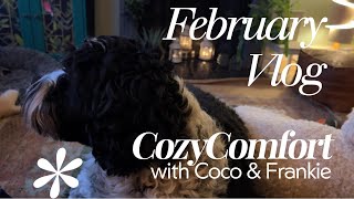 Cozy February Moments: Bread, Crochet, Walks &amp; Classic Movie Night 🐶 Captions