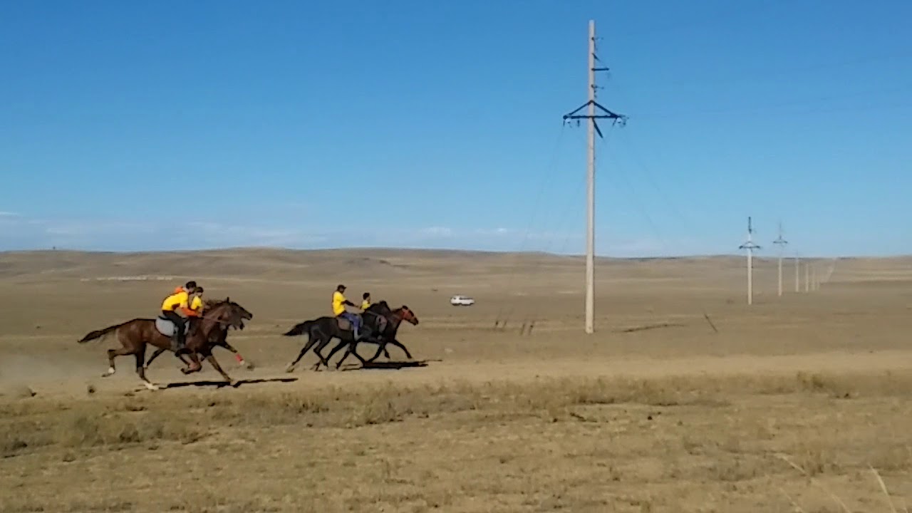 Күршім ауданына 90 жыл. Жорға жарыс 7 км.