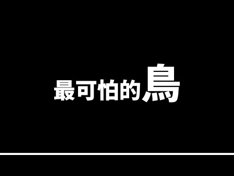 空中最可怕的生物，第一名居然捕食猴子
