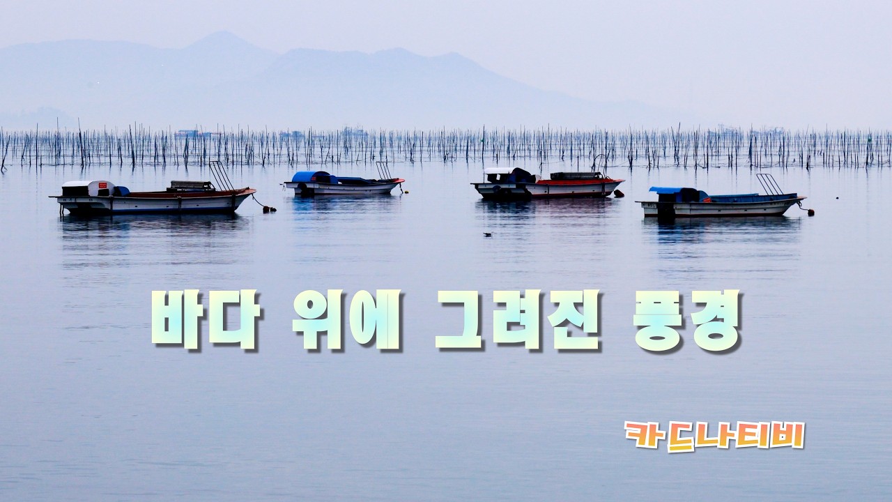 바다 위에 그려진 풍경     #바다풍경 #안개낀바다 #고요한바다 #자연풍경 #힐링영상 #잔잔한바다 #수평선 #편안한풍경 #휴식영상 #조용한순간