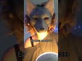 this vid is def gonna flop but THE TRANSITIONS?? ||#furry #mask #maskmaker #therian #fyp #viral #e