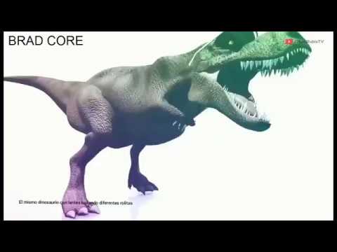 camera iphone 8 plus apk AUXÍLIO ME DESMAYO, CÁLLESE VIEJO LESBIANO - Rakion