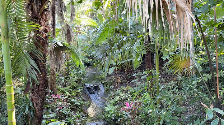 30 minute video of Small waterfall and creek babbl...