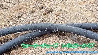 大和実業(株)〈水まき・水やり〉ウォーターチューブ　レギュラータイプ