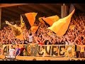 BVB II Amateure Fans Stimmung Best of: (Amazing Chants / SUPPORT)