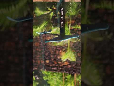 Who remembers this foil?