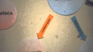 Ética y relación con otras disciplinas.