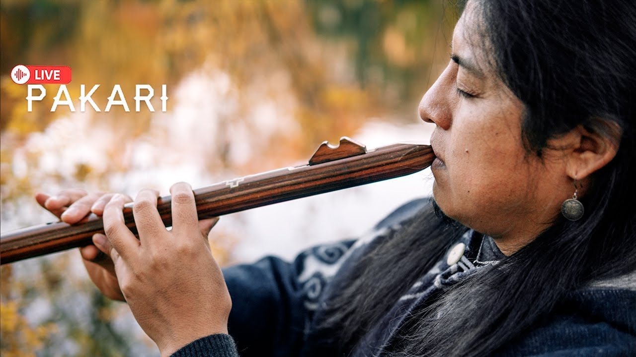 Pakari - Native flute live music🎵