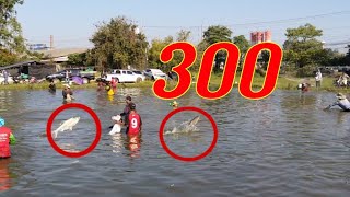 #ทำไมบ่อเล็กๆบัตรแค่ 300 เซียนแหถึงมากันเยอะกว่างานช้างอีก!?