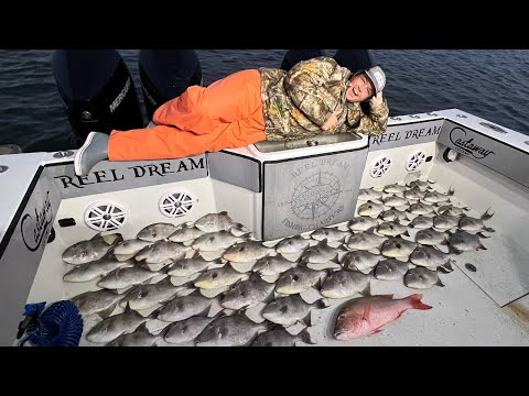 Best Tasting Thing in the OCEAN! {Triggerfish Catch, Clean, & Cook} 