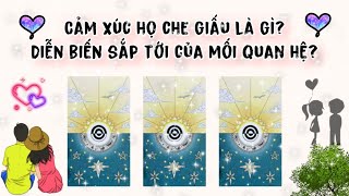 Cảm xúc họ che giấu? Họ suy nghĩ gì? Diễn biến tiếp theo của mối quan hệ? | Trang Sirian