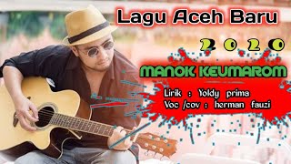 Lagu Aceh Terbaru|| HIKAYAT PEULOT MANOK~ COVER HERMAN FAUZI