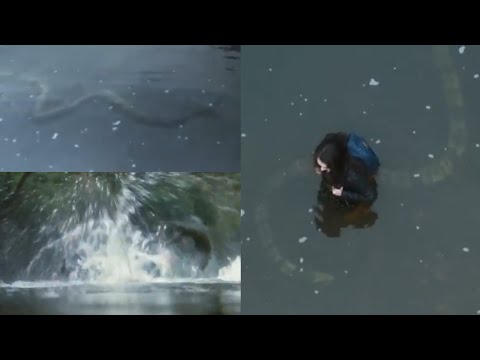 La Brea [2021 - 2024] - Giant Snake Screen Time