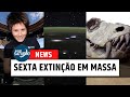 NEWS: Sexta Extinção em Massa / Primeira Mulher No Espaço / Maior Cânion Do Sistema Solar [MAIS +]