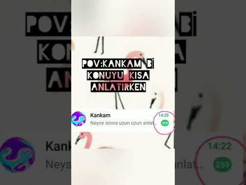 Pov:Kankam bir şeyi kısa anlatıyor